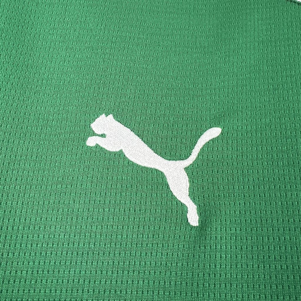 Camisa Pronta Entrega Palmeiras Home 2026/27 - Puma Torcedor Masculina - Verde/Vermelha