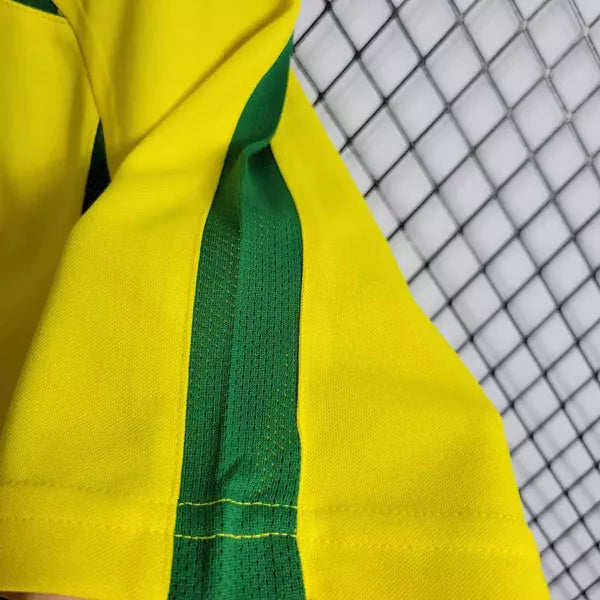 camisa-pronta-entrega-brasil-selecao-brasileira-home-titular-1-2002-nike-retro-masculina-masculino-amarelo-amarela-verde-ronaldo-rivaldo-ronaldinho-cafu-roberto-carlos